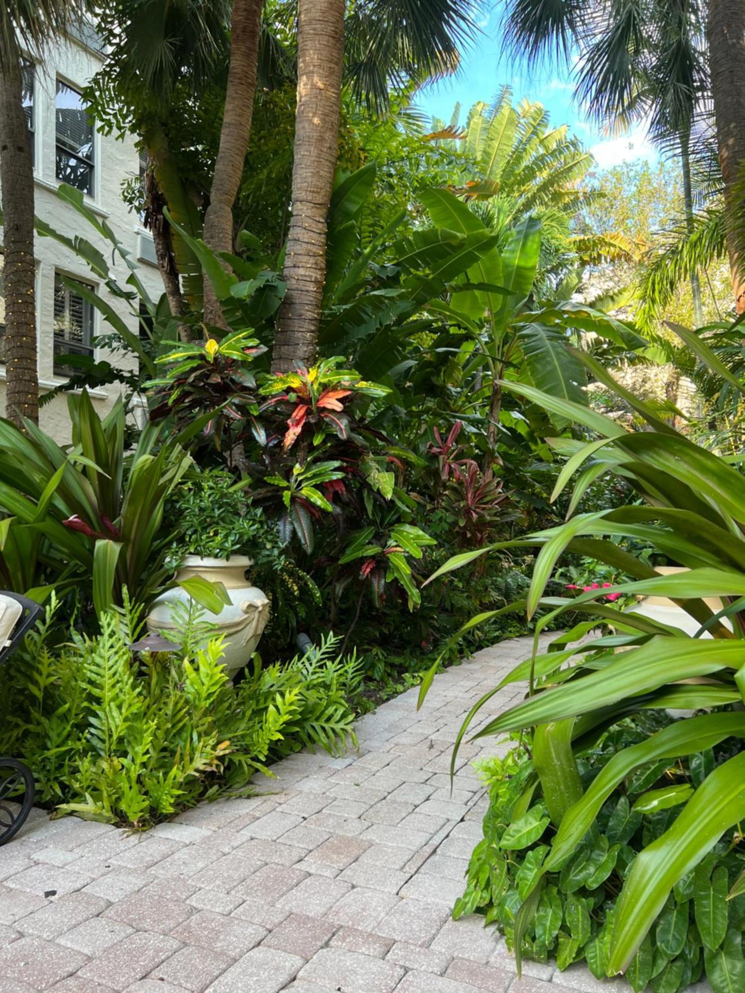 Orchid Suites - Historic Palm Beach Hotel Condominium Bagian luar foto