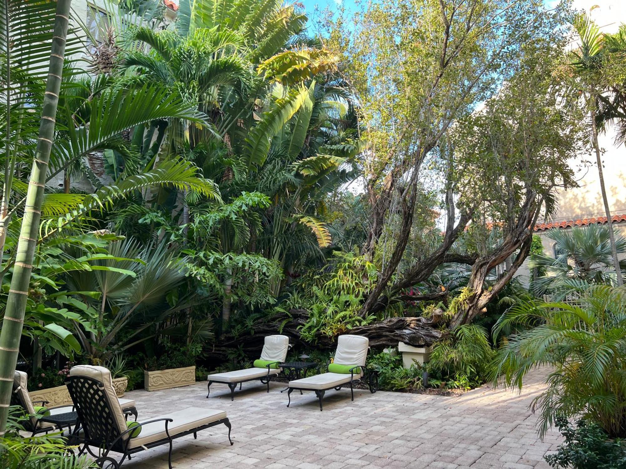Orchid Suites - Historic Palm Beach Hotel Condominium Bagian luar foto