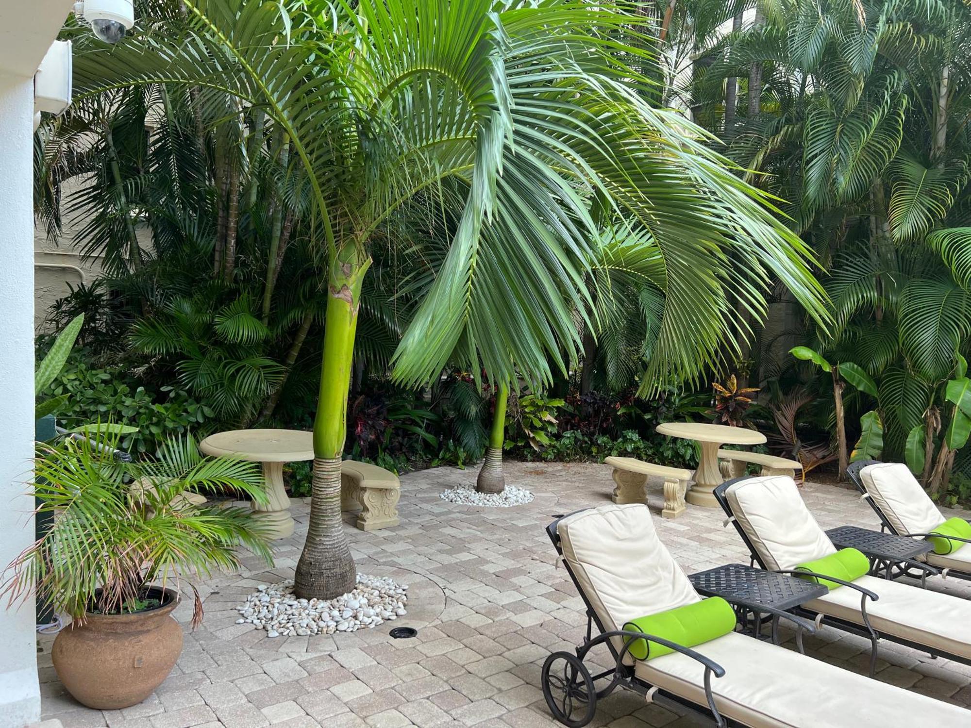 Orchid Suites - Historic Palm Beach Hotel Condominium Bagian luar foto