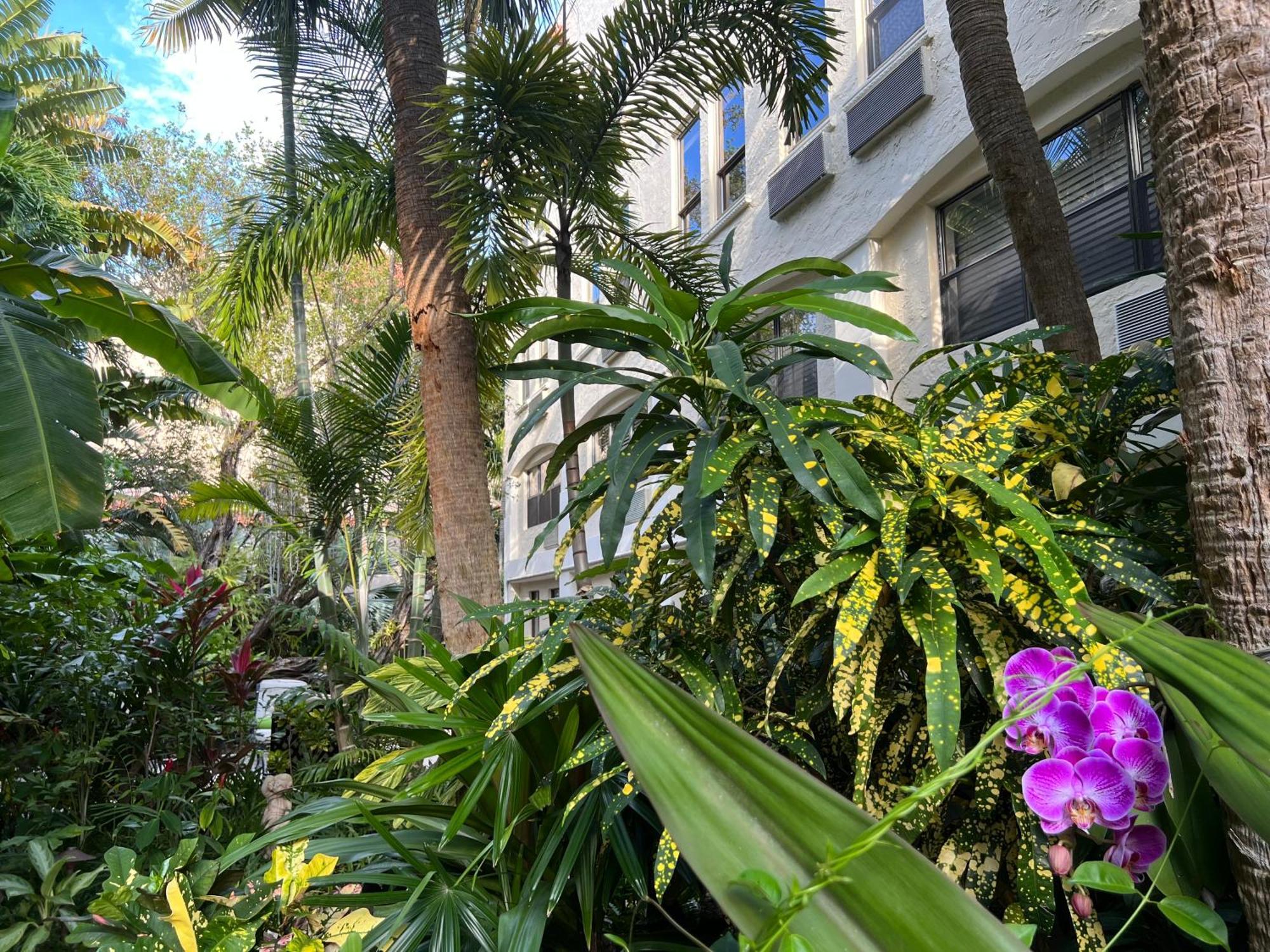 Orchid Suites - Historic Palm Beach Hotel Condominium Bagian luar foto